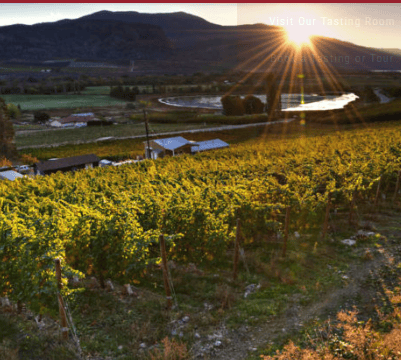 Winemaker Fred DiProfio